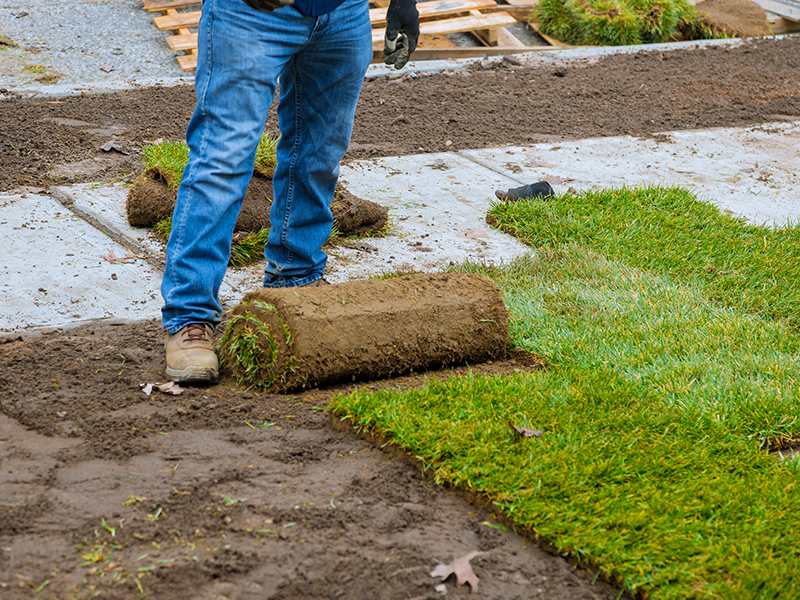 Thumbnail of a flooring project